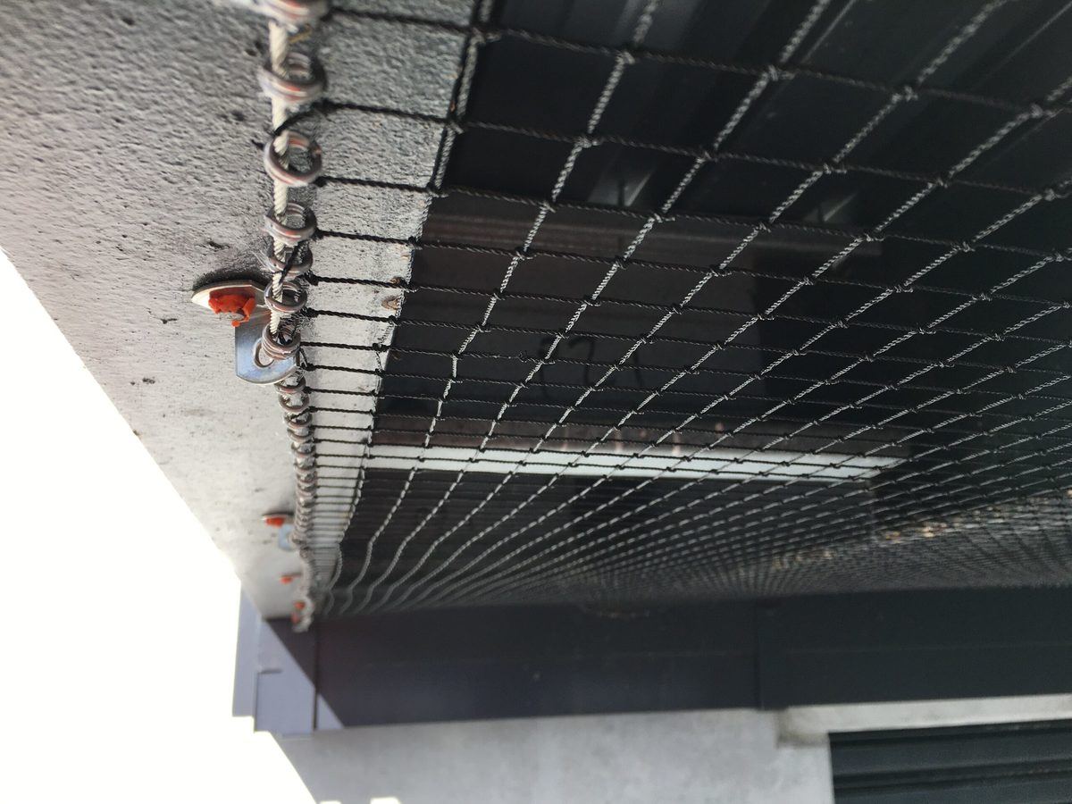 Bird netting on underside of roof